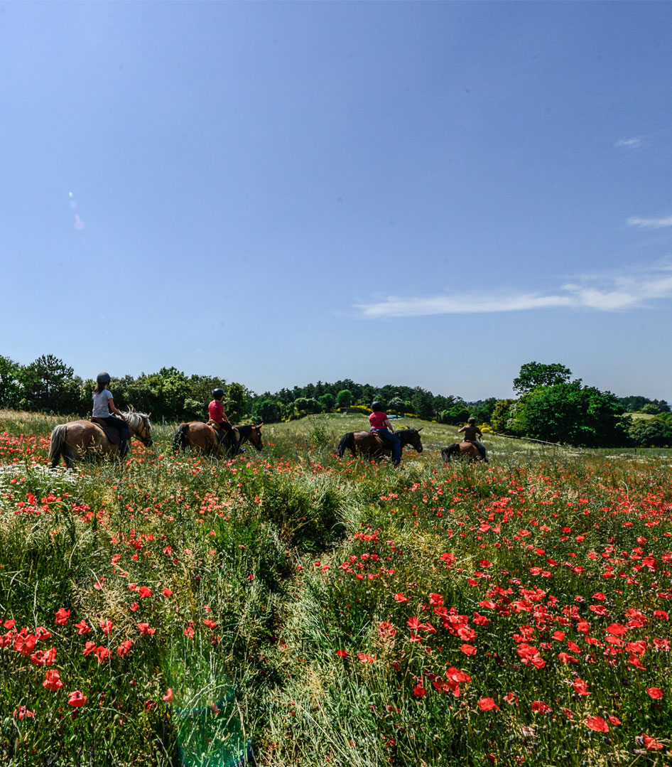 Domaine de Fraisse