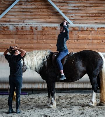 Médiation par le cheval