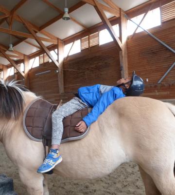 Médiation par le cheval